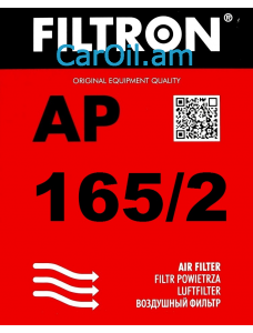 Filtron AP 165/2